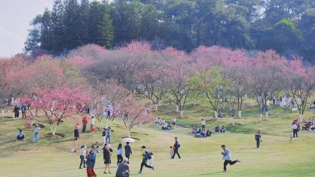 场地相册封面