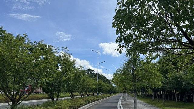场地相册封面