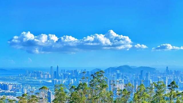 场地相册封面