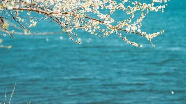 场地相册封面