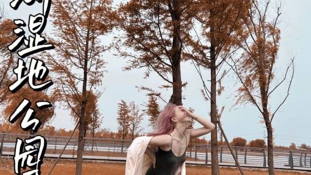 场地相册封面