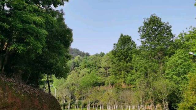 场地相册封面