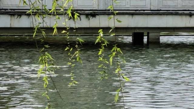 场地相册封面