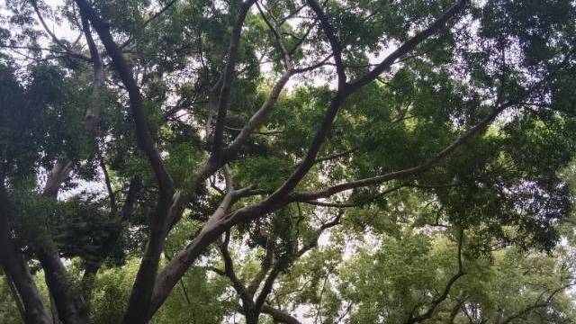 场地相册封面
