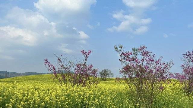 场地相册封面