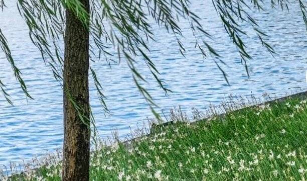 场地相册封面