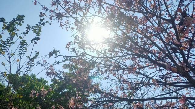 场地相册封面