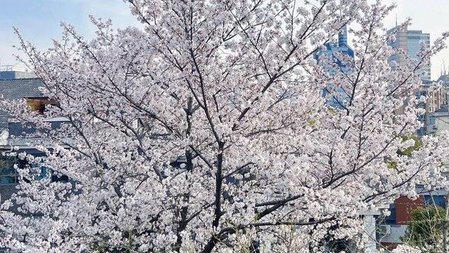 场地相册封面