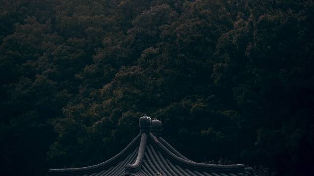 场地相册封面
