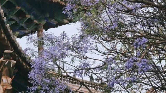场地相册封面