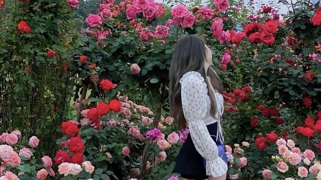 场地相册封面