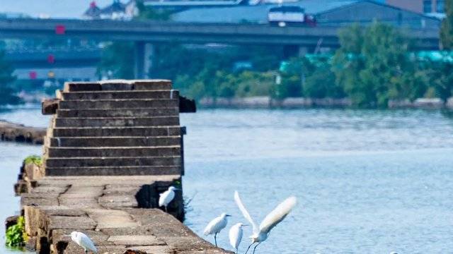 场地相册封面