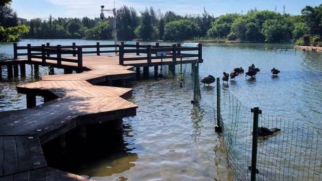 场地相册封面