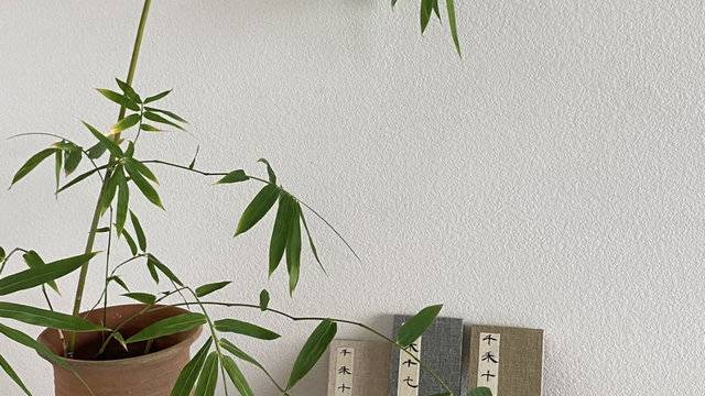 场地相册封面