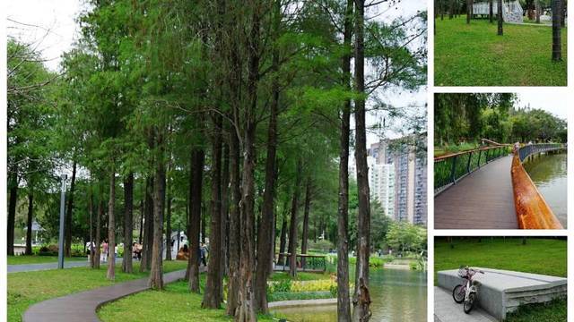 场地相册封面