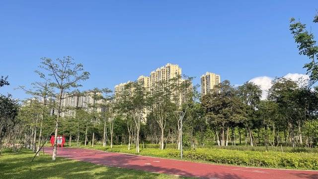 场地相册封面