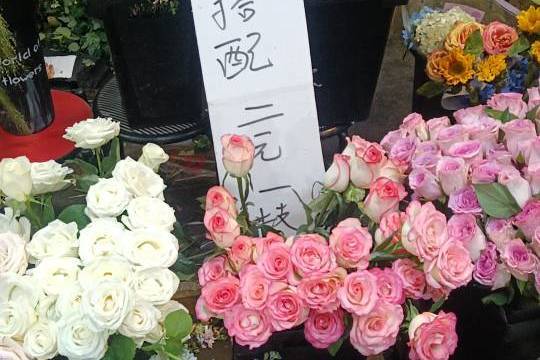 场地相册封面