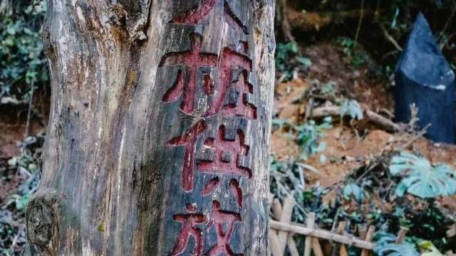 场地相册封面