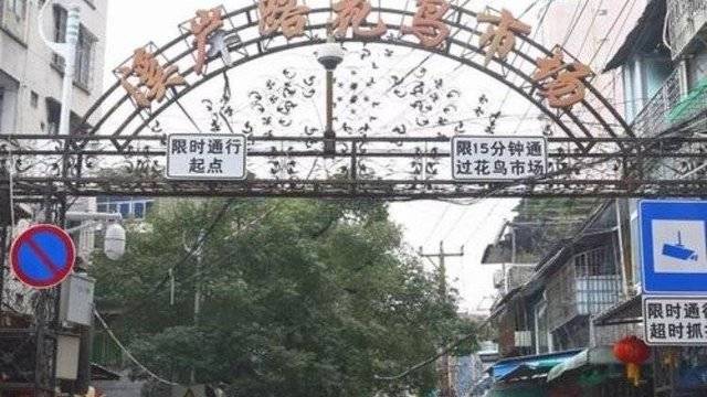 场地相册封面