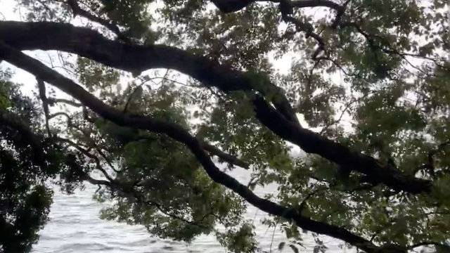 场地相册封面