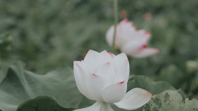 场地相册封面