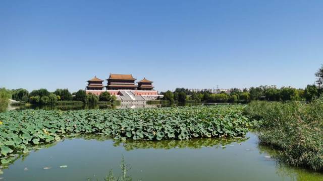 场地相册封面