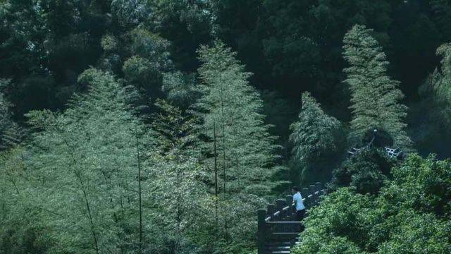 场地相册封面