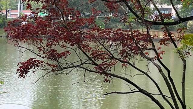 场地相册封面