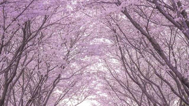 场地相册封面