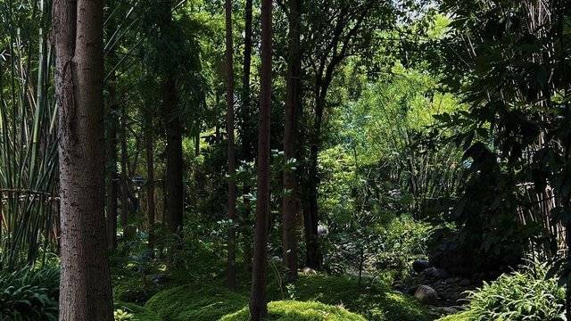 场地相册封面