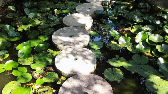 场地相册封面