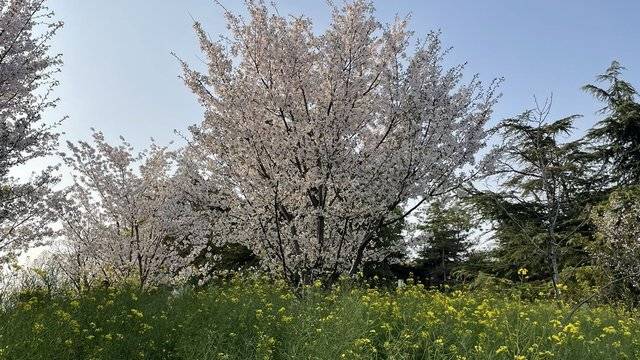 场地相册封面