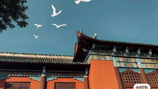 场地相册封面