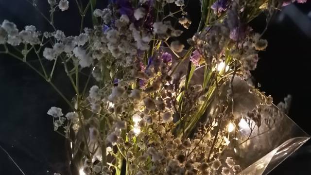 场地相册封面