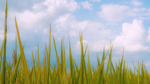 场地相册封面