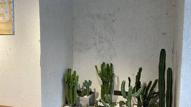 场地相册封面
