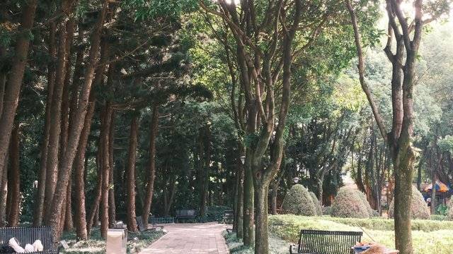 场地相册封面