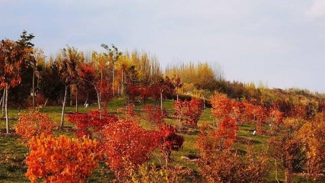 场地相册封面