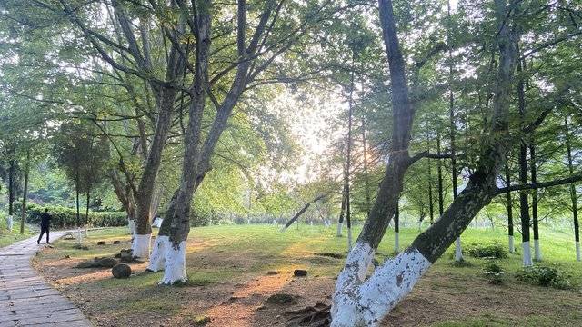 场地相册封面