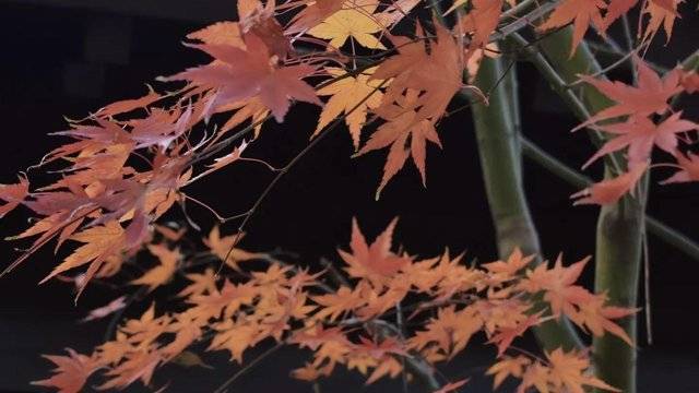 场地相册封面