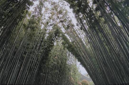 场地相册封面