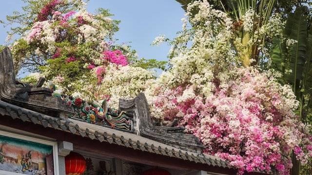 场地相册封面