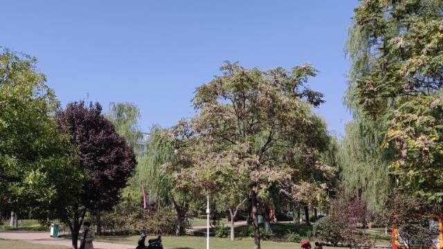 场地相册封面