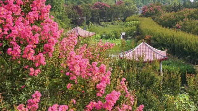 场地相册封面