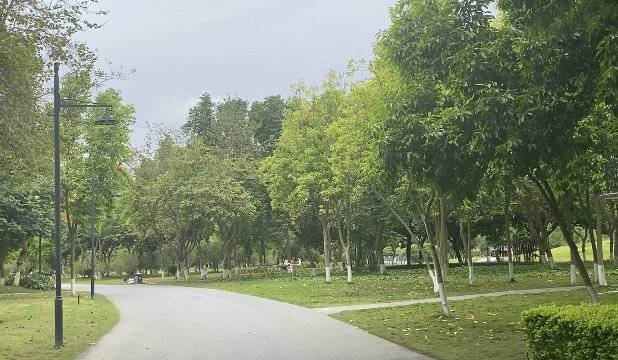 场地相册封面
