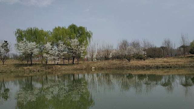 场地相册封面