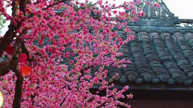 场地相册封面