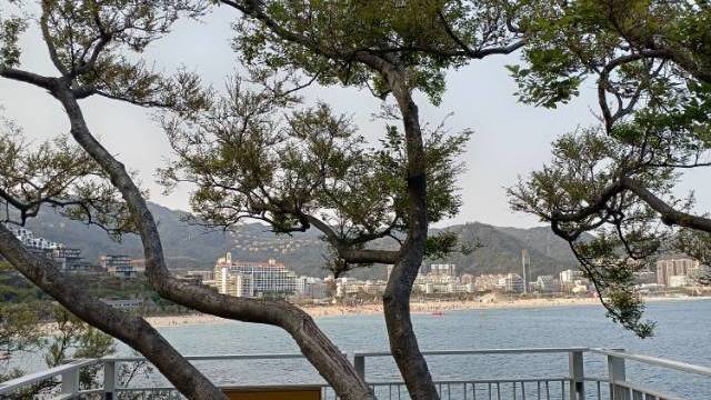 场地相册封面