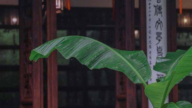 场地相册封面