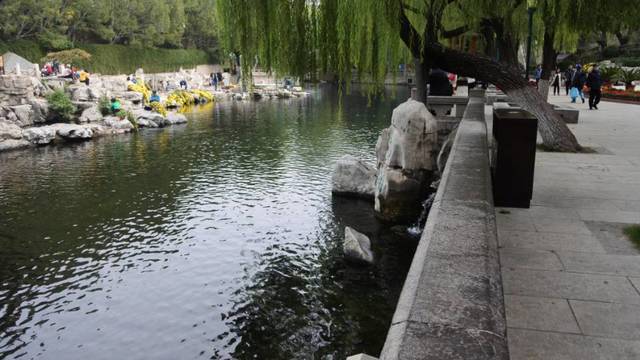场地相册封面
